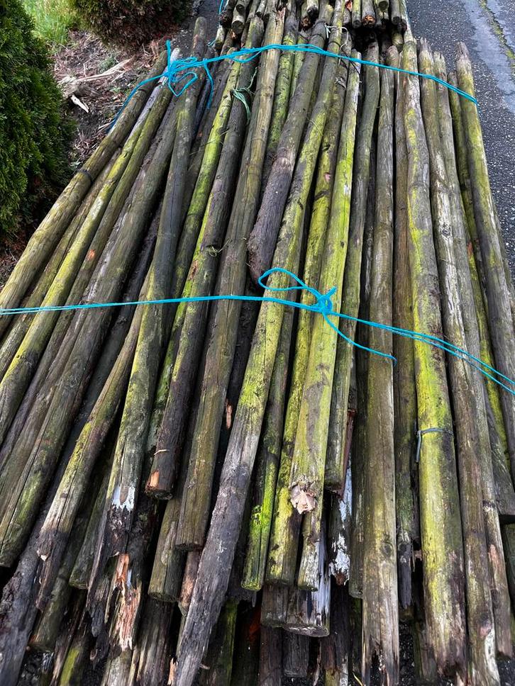 Boompalen -, Tuin en Terras, Palen, Balken en Planken, Gebruikt, Palen, 180 tot 250 cm, Hardhout, Ophalen