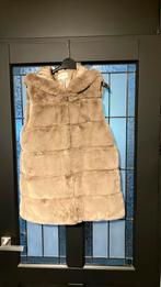 Bodywarmer, Kleding | Dames, Bodywarmers, Maat 38/40 (M), Beige, Nieuw, Ophalen of Verzenden
