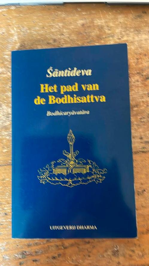 Santideva - Het pad van de Bodhisattva, Boeken, Filosofie, Zo goed als nieuw, Ophalen of Verzenden