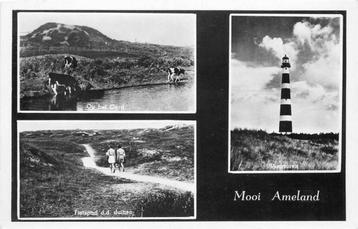(377-424-023) Ameland Multiview beschikbaar voor biedingen