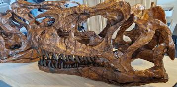 Allosaurus schedel op ware grootte ('PUZZEL'!) beschikbaar voor biedingen