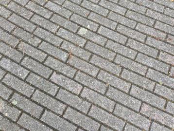 600 m2 gebruikte betonstraatstenen/ klinkers geleverd aan hu beschikbaar voor biedingen