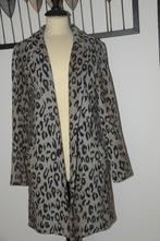 Superleuke grijze zomerjas met panterprint van 8mm, maat M!!, Kleding | Dames, Maat 38/40 (M), Grijs, Gedragen, 8MM