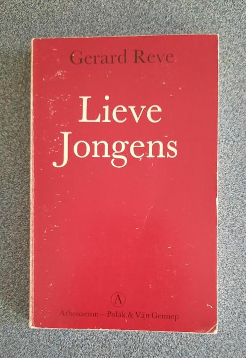 Boek: Lieve jongens, Boeken, Literatuur, Zo goed als nieuw, Nederland, Ophalen of Verzenden