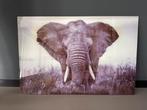 Glasschilderij olifant, Huis en Inrichting, Ophalen of Verzenden, 100 tot 125 cm, 75 cm of meer, Print