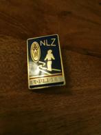 Lourdes speldje, Ophalen of Verzenden, Zo goed als nieuw, Overige onderwerpen, Speldje of Pin