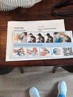 Zeer complete automatische borstel voor doodles +andere ras., Dieren en Toebehoren, Honden-accessoires, Ophalen of Verzenden, Zo goed als nieuw