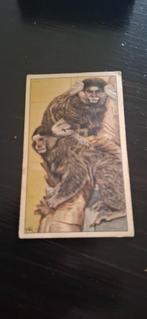 Verkade dierenplaatjes uit 1940, Ophalen of Verzenden, Zo goed als nieuw, Overige soorten, Overige typen