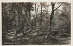 LHEE Schurenberg Boszicht, Verzenden, 1940 tot 1960, Ongelopen, Drenthe
