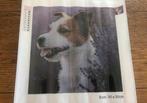 DP Hond R.S. Size:30x30cm 9 Kleuren, Hobby en Vrije tijd, Overige Hobby en Vrije tijd, Ophalen of Verzenden, Nieuw