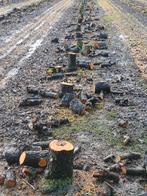 openhaardhout, Tuin en Terras, Haardhout, Minder dan 3 m³, Ophalen