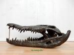 199* bronzen krokodil kop (Boven €75 geen verzendkosten), Tuin en Terras, Tuinbeelden, Ophalen of Verzenden, Nieuw, Overige materialen