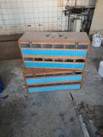 Twee duivenmanden voor de liefhebber, Dieren en Toebehoren