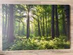 Rustgevend bos canvas 60x90cm nieuw, Demuurdecoratie@gmail.com, Nieuw, Schilderij, 75 tot 100 cm