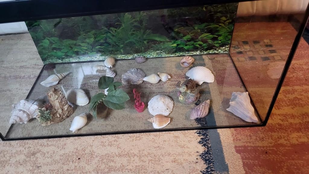 Aquarium met een lengte van 60, Dieren en Toebehoren, Vissen | Aquaria en Toebehoren, Ophalen of Verzenden