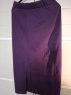 Paarse Rok van Shoeby - Maat M/L, Maat 38/40 (M), Paars, Ophalen of Verzenden, Zo goed als nieuw