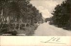 nunspeet . elspeeterweg ., Verzenden, Voor 1920, Gelopen, Gelderland