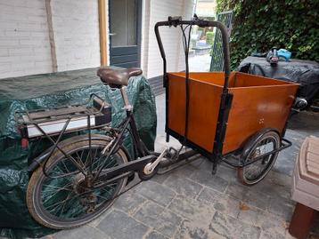 Elektrische Bakfiets - Hondenvervoer beschikbaar voor biedingen