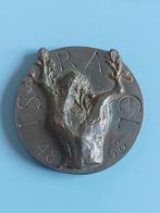 Penning VPK 1968 Israël theresia van der pant, Ophalen of Verzenden, Brons, Nederland