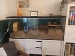 Terrarium, 110 cm of meer, Hamster, Hok, Ophalen