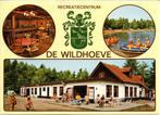 Emst  De Wildhoeve, Verzamelen, Ansichtkaarten | Nederland, Ophalen of Verzenden, Gelopen, Gelderland