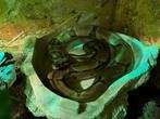 boa constrictor, Dieren en Toebehoren, Reptielen en Amfibieën, Slang