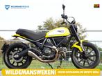 Ducati Scrambler 800 Icon ABS, Motoren, Motoren | Ducati, Bedrijf, Meer dan 35 kW, 800 cc, ABS