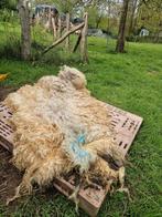 Vacht om te vilten, Ophalen of Verzenden, Figuurtje(s)