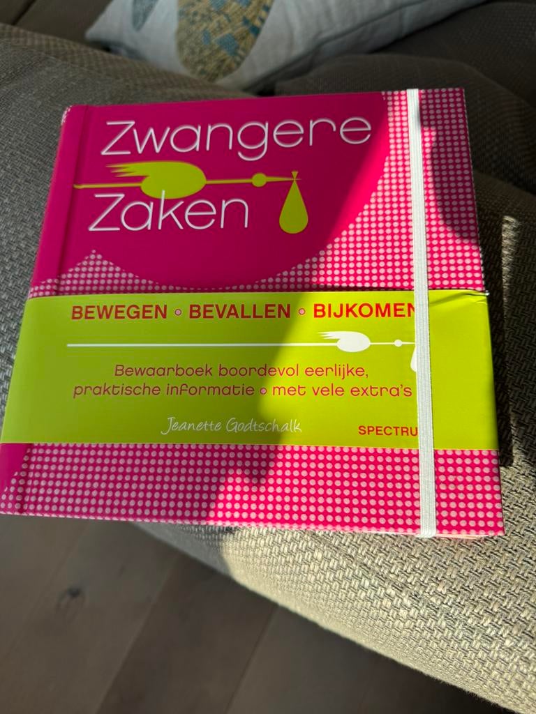 Jeanette Godtschalk - Zwangere zaken, Zwangerschap en Bevalling, Ophalen of Verzenden, Zo goed als nieuw, Jeanette Godtschalk
