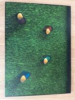 Schilderij Rijstvrouwen in Rijstveld, Ophalen of Verzenden, Zo goed als nieuw, Overige typen