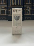 Loewe Solo Ella Elixer rollerball, Ophalen of Verzenden, Nieuw