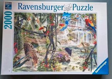 Zgan puzzel 2000 stukjes ravensburger beschikbaar voor biedingen