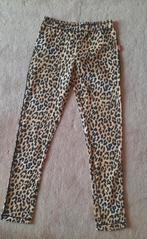 Claesens legging, draagmaat 134, nieuw, Meisje, Nieuw, Ophalen of Verzenden, Broek