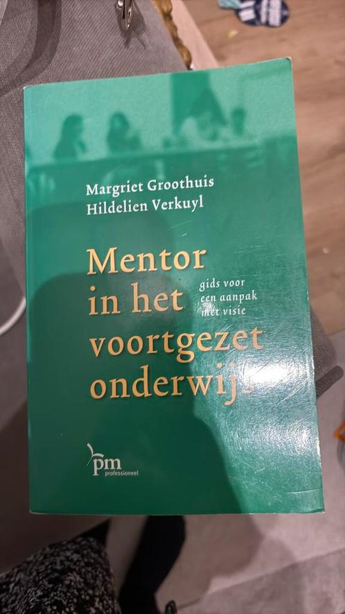 M. Groothuis - Mentor voor het voortgezet onderwijs, Boeken, Wetenschap, Zo goed als nieuw, Ophalen of Verzenden