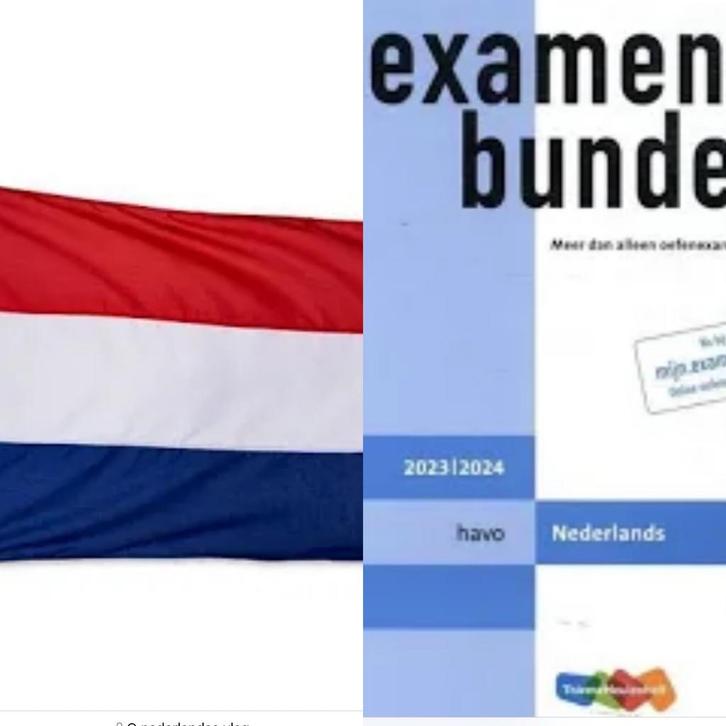 PRIVÉ BIJLES NEDERLANDS -  SCHOOLJAAR 2025/2026, Diensten en Vakmensen, Bijles, Privé-les en Taalles, Bijles, Examen- of Scriptiebegeleiding