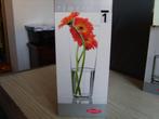Vaas schuin 18,5cm, Huis en Inrichting, Woonaccessoires | Vazen, Ophalen of Verzenden, Nieuw, Glas, Minder dan 50 cm