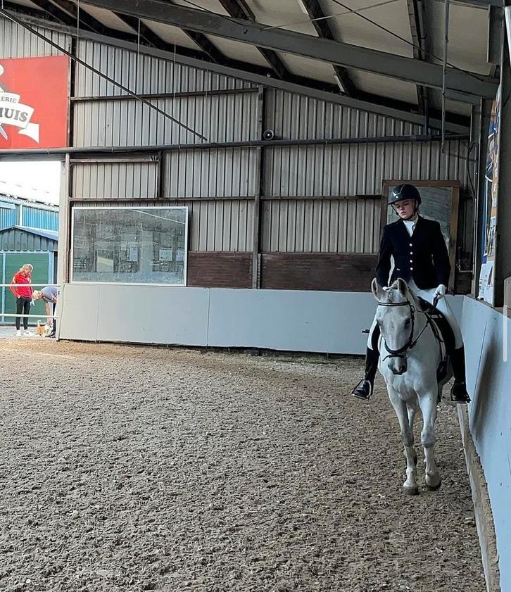 Bijrijder aangeboden, verzorg paard gezocht, Dieren en Toebehoren, Paarden en Pony's | Verzorgingsproducten, Zo goed als nieuw