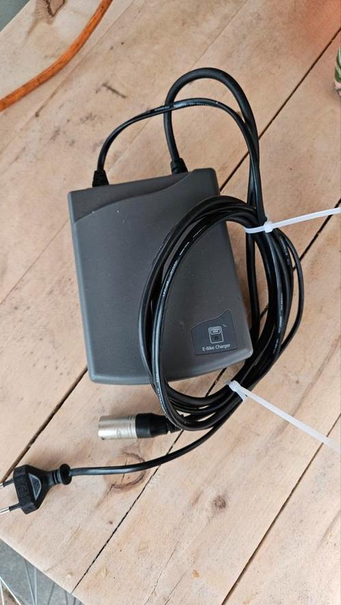 Sparta Ion E-bike Lader, Fietsen en Brommers, Fietsaccessoires | Fietsaccu's, Gebruikt, Ophalen of Verzenden
