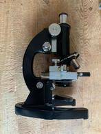 Olympus GB microscoop jaren 60 in originele houten doos, Ophalen of Verzenden, Biologische microscoop