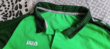JAKO Champ 2 poloshirt maat xxl  beschikbaar voor biedingen