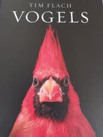 Foto vogelboek van Tim Flach, Tim Flach, Ophalen of Verzenden, Zo goed als nieuw, Vogels