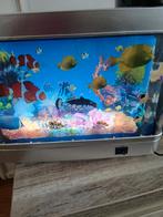 Kitten akwaring voor kat gaat op stroom nieuw, Ophalen of Verzenden, Nieuw