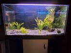 Aquarium 80 cm Ferplast 120 ltr, Dieren en Toebehoren, Ophalen of Verzenden, Gevuld zoetwateraquarium