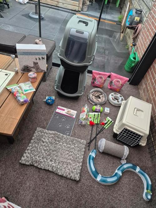 Grote kitten / katten uitzet! Meeste nieuw, Dieren en Toebehoren, Kattenspeelgoed, Nieuw, Ophalen