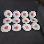 Gebakstel Hutschenreuther 13-delig VINTAGE bloemen, Ophalen, Nieuw, Bord(en), Overige stijlen