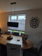 Mooie hanglamp, Ophalen, Zo goed als nieuw, Stof, 75 cm of meer