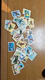 Rizla vogelplaatjes, Verzamelen, Albert Heijn, Ophalen of Verzenden