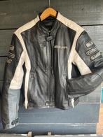 Pracht Segura lederen motorjas met protectors, Ophalen of Verzenden, Tweedehands, Jas | leer