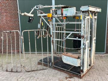 Klauwbehandelbox / opkapbox / kapstsl beschikbaar voor biedingen