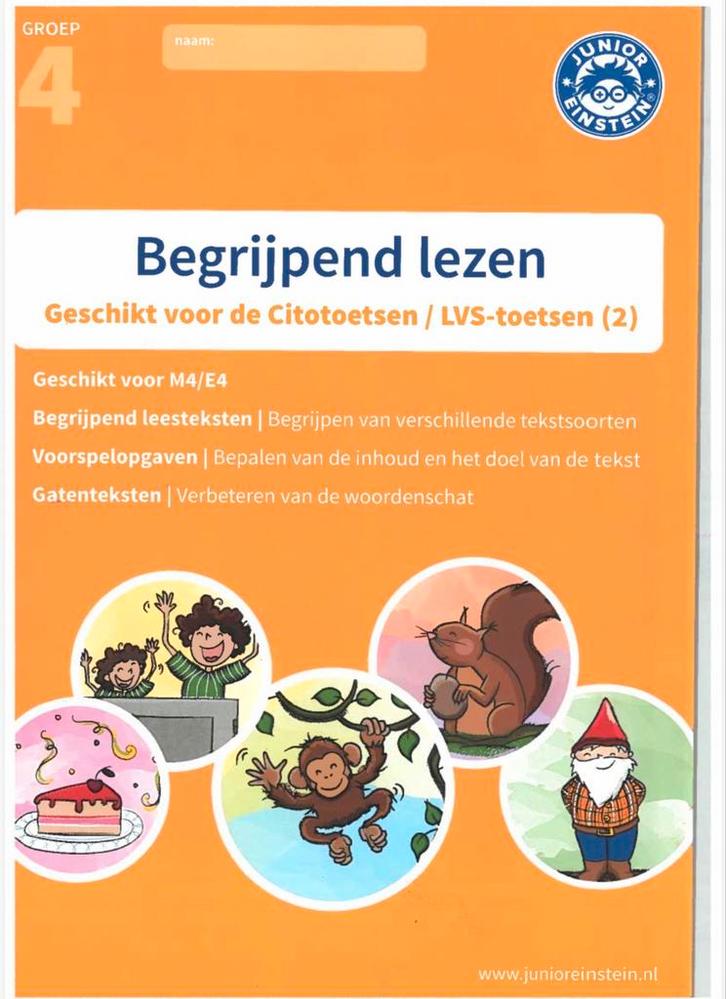 Junior Einstein Begrijpend Lezen Groep 4, Boeken, Schoolboeken, Zo goed als nieuw, Nederlands, Overige niveaus, Ophalen of Verzenden